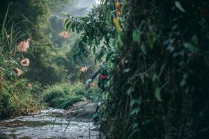 BIB: 
                            <button type="button" onclick="openModal(13716663)" class="btn btn-primary btn-sm float-right btn-popup" data-toggle="modal" data-target=".modal-high-quality">
                        <i class="fas fa-shopping-cart"></i> Add to Cart
                    </button>
                                            <button type="button" onclick="isThisMe(13716663, true)" class="btn btn-success btn-sm float-right btn-popup btn-isme hidden" data-toggle="tooltip" data-placement="bottom" title="นี่คือรูปของคุณใช่ไหม คลิกที่นี่เพื่อเอาเข้าอัลบั้ม">
                        <i class="fas fa-plus"></i> Add to album
                    </button>
                    <button type="button" onclick="isThisMe(13716663, false)" class="btn btn-warning btn-sm float-right btn-popup btn-isnotme hidden">
                        <i class="fas fa-ban"></i> Remove from album
                    </button>